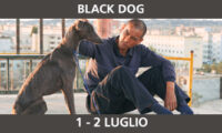 SECONDA VISIONE